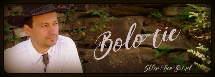 bolo